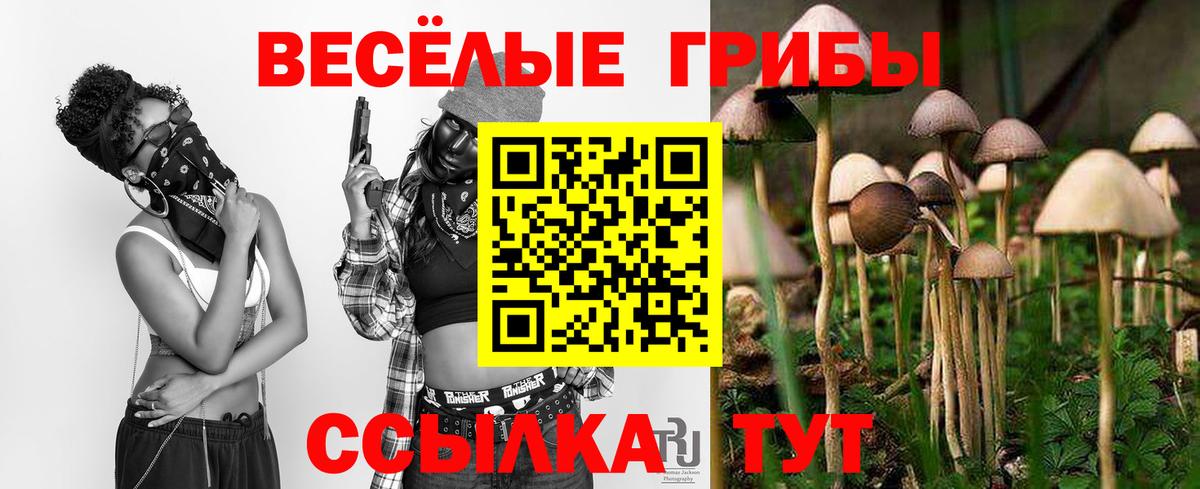 Галлюциногенные грибы мухоморы Севастополь